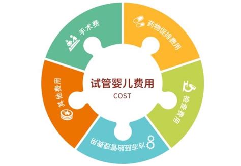 2024年试管婴儿费用多少 - 一代、二代、三代价格明细 - 久久助孕网